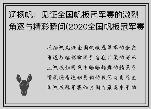 辽扬帆：见证全国帆板冠军赛的激烈角逐与精彩瞬间(2020全国帆板冠军赛)