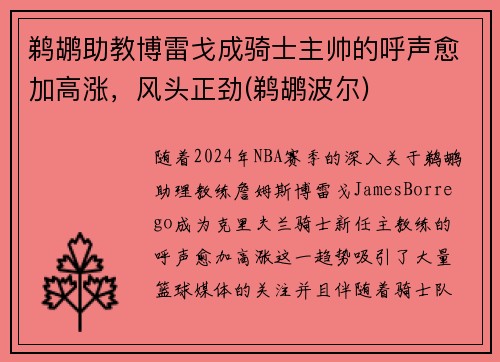 鹈鹕助教博雷戈成骑士主帅的呼声愈加高涨，风头正劲(鹈鹕波尔)