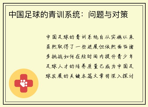 中国足球的青训系统：问题与对策