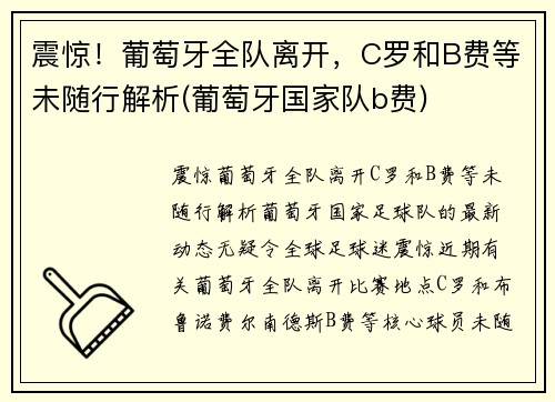 震惊！葡萄牙全队离开，C罗和B费等未随行解析(葡萄牙国家队b费)